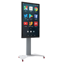 TV SCREEN / DIGITAL SIGNAGE MONITORS 